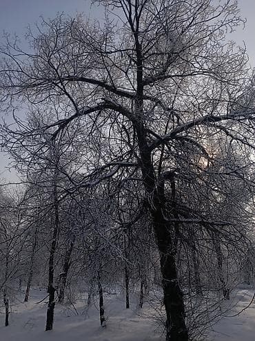 it вакансии без опыта: Юрист рассматривает предложения о работе от физических и юридических — 2