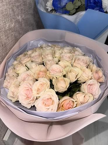 набор идиштер: Роза сатылат! — 1