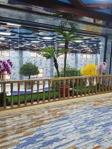 Дизайн, долборлоо: Дизайн | Кафе, ресторандар — 4