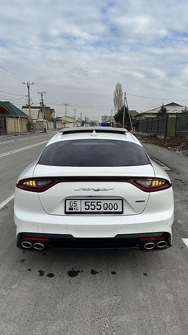 наклейки на авто: Kia Stinger: 2018 г., Бензин, Фастбек — 7