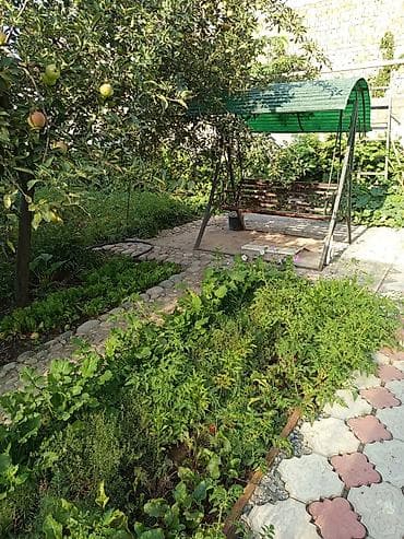 Недвижимость: Продаю дом в центре города,золотой квадрат, проспект — 7