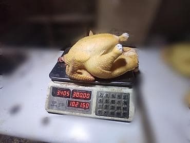 Домашняя курица, желтокожая (деревенская). Тушки целые, без головы и