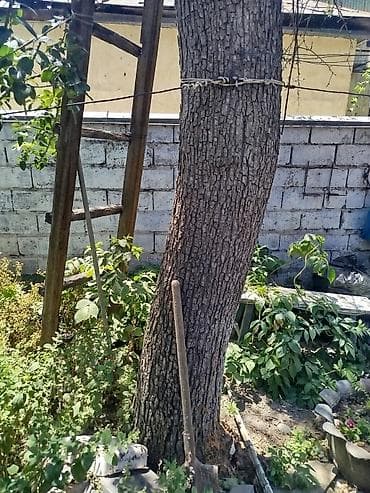 дрова мешок: Продаю на дрова — 5