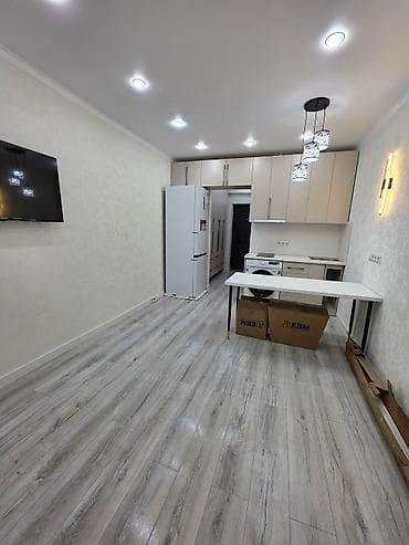 1 комната, 20 м², Малосемейка, 4 этаж, Евроремонт