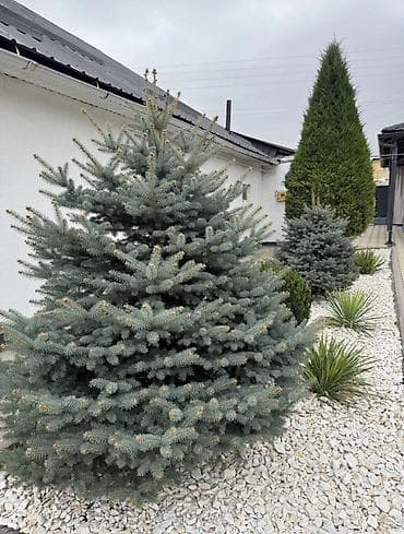 Сниму дом: Дом, 110 м², 4 комнаты, Агентство недвижимости, Евроремонт — 9