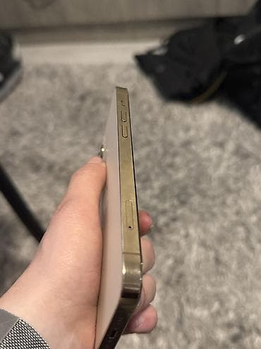 canon eos 90d: IPhone 12 Pro, Новый, 256 ГБ, Rose Gold, Зарядное устройство, Чехол, 72 % — 4