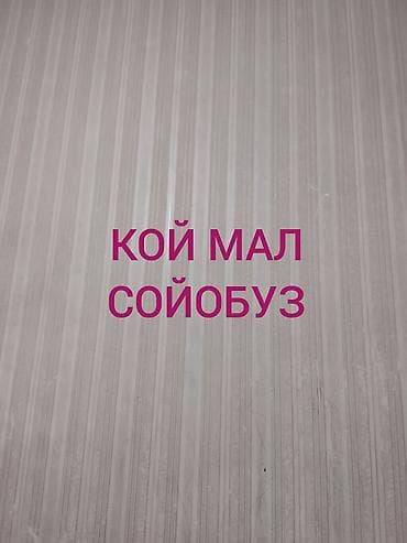 кожный машинка: Услуга: забой и разделка мелкого рогатого скота (овцы, козы) — 1