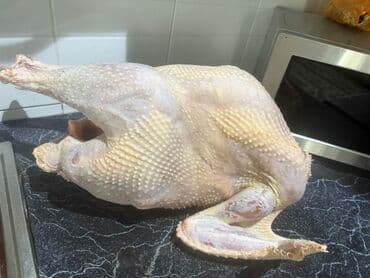 Продаю чищеных индюков домашней at lalafo.kg Продаю чищеных индюков домашней