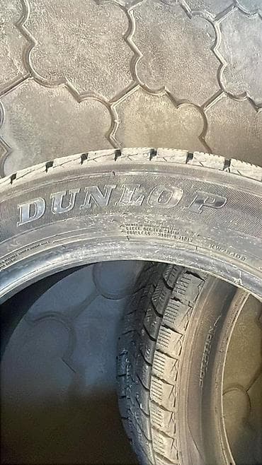 глушитель макси: Шины R 21, Зима, Комплект, Легковые, Dunlop — 4