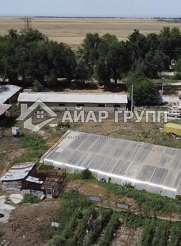 бишкек киргизия 1: 900 соток, Для бизнеса, Красная книга — 3