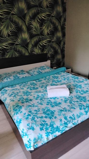 hostel osh: 1 комната, Душевая кабина, Постельное белье, Кондиционер — 1