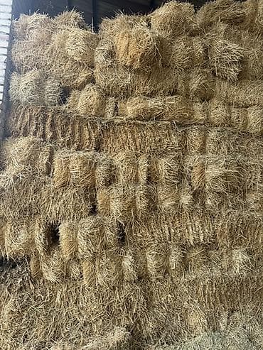 Животные: Солома в тюках - Культура: пшеничная/ - Форма: прямоугольные малые — 1