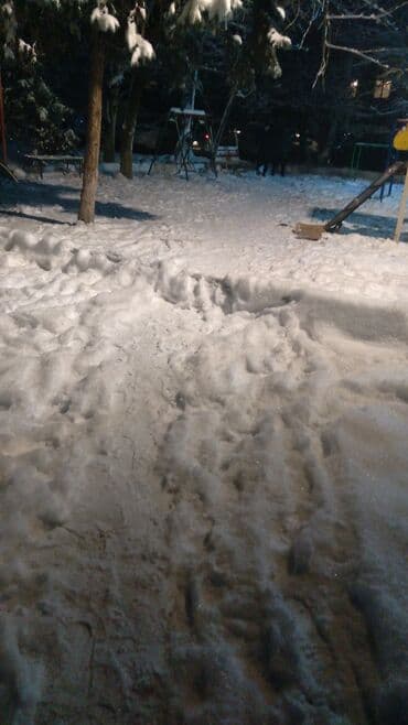 Другие услуги: Уборка территории — 1