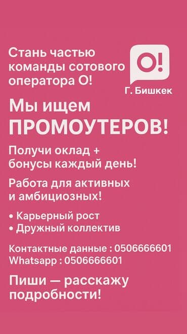 фрунзе вакансии бишкек: Требуется Промоутер, Без опыта, Полный рабочий день, График: Шестидневка, Карьерный рост — 2