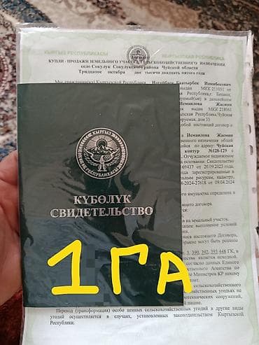 участок в кок жар: 1000 соток, Для сельского хозяйства, Договор купли-продажи — 1