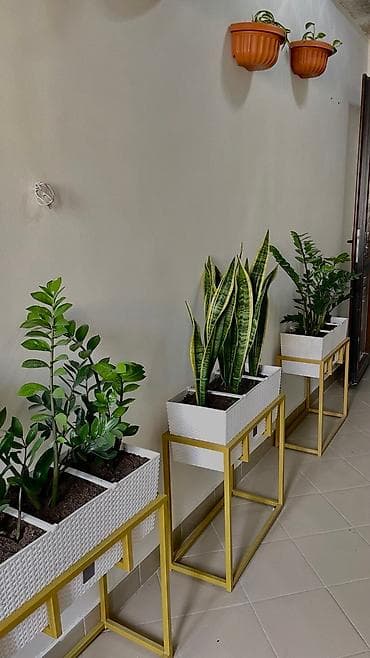 империал: 2 комнаты, Собственник, Без подселения, С мебелью полностью — 10