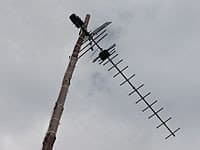 повесить телевизор на стену цена: Настройка антенн, также их ремонт. Ош. Санарип — 2