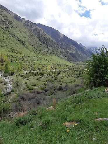 тёплый бассейн: Квартира — 8