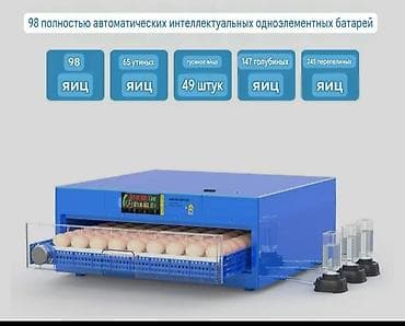 Оборудование для производства: Инкубатор автоматический для яиц, умный, одноярусный, синего цвета — 1