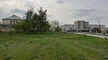 павлония кыргызстан: 5 соток, Для бизнеса, Красная книга, Тех паспорт, Договор купли-продажи — 4