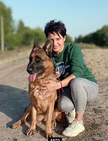 ит аты: Щенок немецкой овчарки с отличной родословной девочка полностью — 4