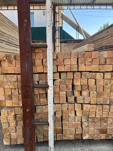 улуу тоо: Лес — 4