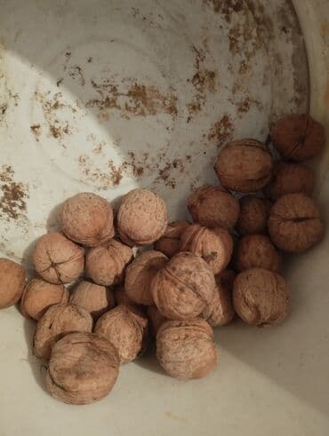 всё родное: Грецкие орехи 1 кг 100 сом купите все орехи, тогда цена по 70 сом за — 3