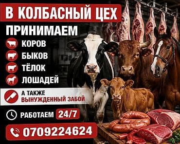 Туша, Самовывоз