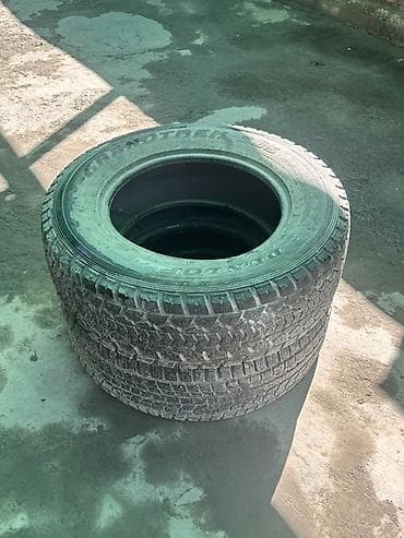 es 2020: Шины 265 / 65 / R 17, Зима, Внедорожные (АТ/МТ), Япония, Dunlop — 1