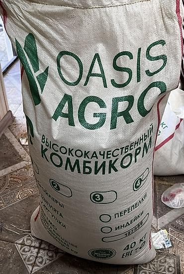 уй порода: Продаем домашних бройлеров — выращены на натуральных кормах с особым — 6