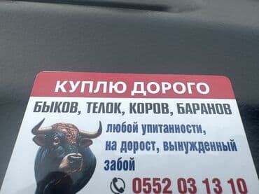 мобильный курятник купить: Куплю | Коровы, быки, Лошади, кони, Другие с/х животные | Круглосуточно, Любое состояние, Забитый — 1