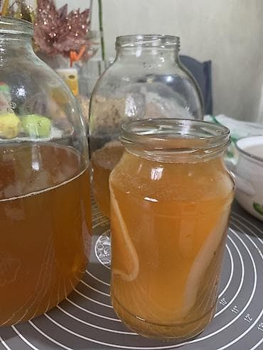 для кожи: Домашний чайный гриб (SCOBY) с рабочей закваской для приготовления — 4
