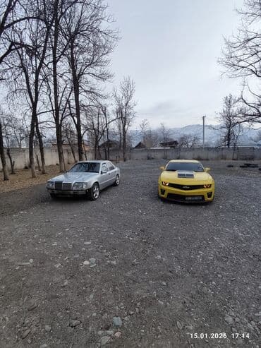 mercedesbenz sprinter делфин: Mercedes-Benz W124: 1993 г., 4.2 л, Автомат, Бензин, Седан — 6