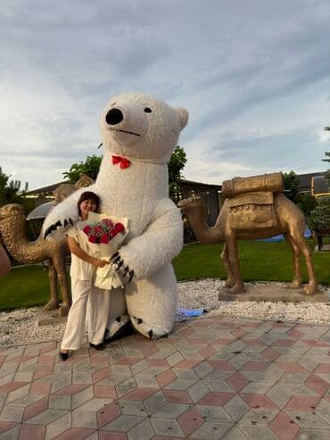 🎶 Музыкальное сопровождение 💍 Свадьбы • 🎁 Дни рождения • 🎶 Той 🎧 DJ