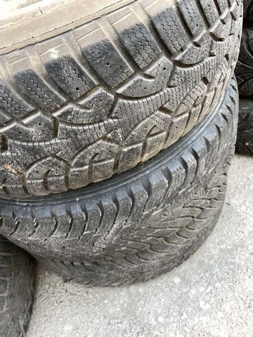 шины на рекс: Шины — 9