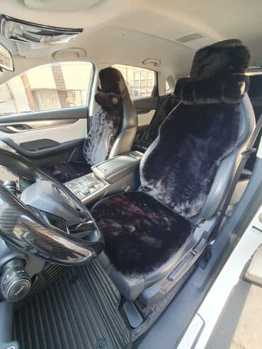 ош машине: Weltmeister EX5, 2020 г., 60000 км, Алдыңкы, Бар — 5