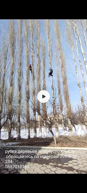 Профессиональный Спил деревьев любой сложности отун аралоо резка дров