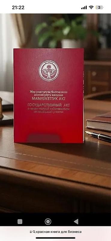 кудайберген кызыл аскер: 5 соток, Бизнес үчүн, Кызыл китеп — 4