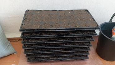 дисков: Комплект автомобильных шин, 4 шт. - Тип: летние, дорожный — 2