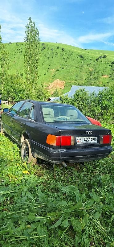 опель вектора с: Audi 100: 1992 г., 2.5 л, Механика, Седан — 1