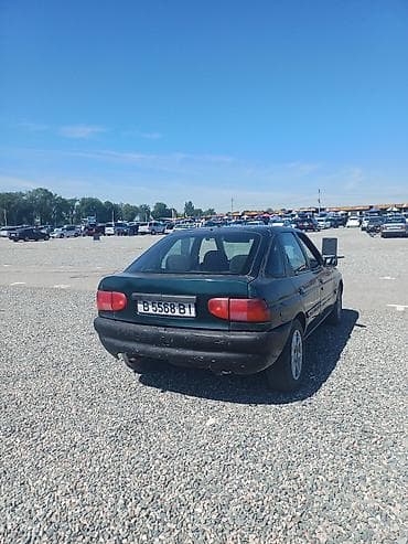 Ford Escort: 1995 г., 1.6 л, Механика, Бензин, Хэтчбэк