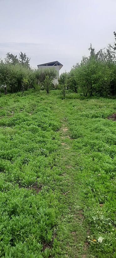 дешевые дачи: Дом с приусадебным участком. - Одноэтажный дом с двускатной крышей — 6