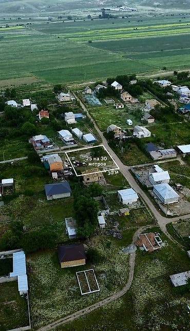 участку: 8 соток, Для строительства, Красная книга, Договор купли-продажи — 4
