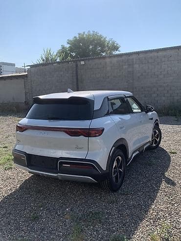 авто элек: BYD Yuan Up: 2024 г., Автомат, Электромобиль, Кроссовер — 5