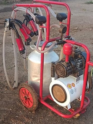 ветеринар вызов дом в бишкеке: Доильный аппарат на тележке, двухпостовой Описание: - Передвижной — 4