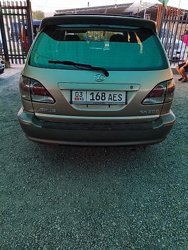 Транспорт: Lexus RX: 2002 г., 3 л, Автомат, Бензин, Кроссовер — 1