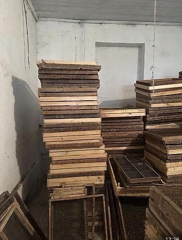 оборудование для кур: Оборудование для птицеводства - Подвесные и напольные поилки/кормушки — 2