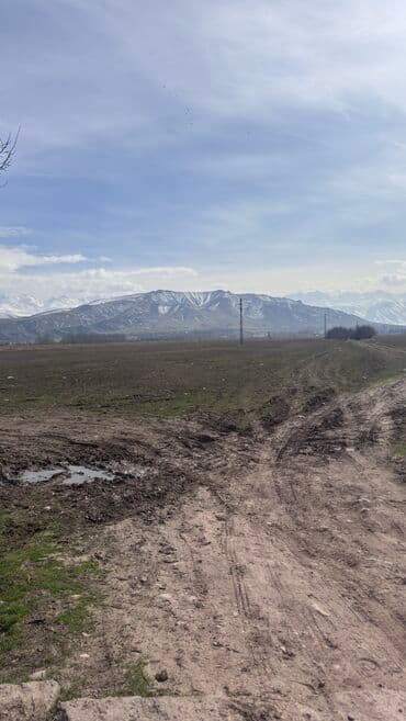 ишу земельный дом кок жар: 385 соток, Для сельского хозяйства, Договор дарения — 7