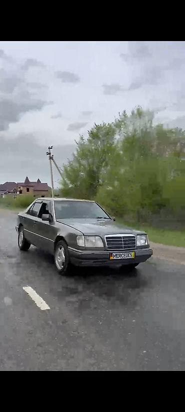 дерево на 124: Mercedes-Benz W124: 1993 г., 3.2 л, Механика, Бензин, Седан — 8