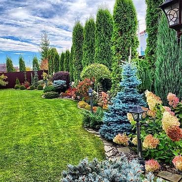 работа официанта: Сеем газон ландшафтный дизайн бишкек авто полив ручной полив посадка — 5